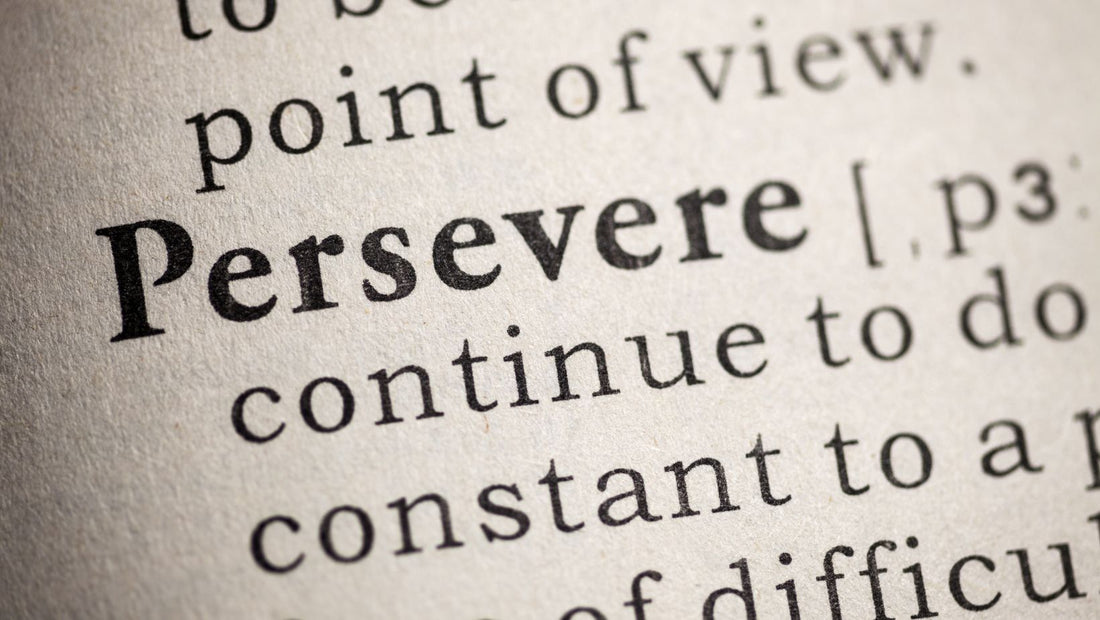 Stick to God’s WILL – Persevering Through a God-Given Vision