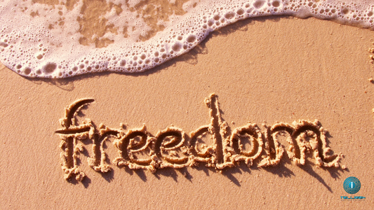 How My Team and Systems Have Allowed Me the Freedom to Do What I Love